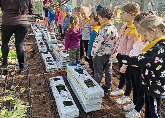 KRASNOLUDKI I SŁONECZKA NA WYCIECZCE DO OGRODNICTWA grafika