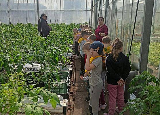 KRASNOLUDKI I SŁONECZKA NA WYCIECZCE DO OGRODNICTWA grafika