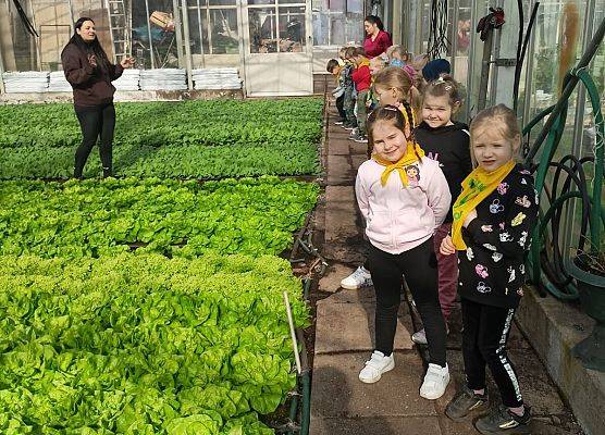 KRASNOLUDKI I SŁONECZKA NA WYCIECZCE DO OGRODNICTWA grafika