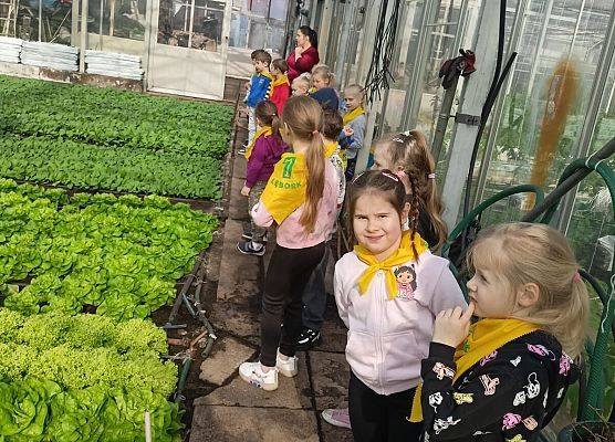 KRASNOLUDKI I SŁONECZKA NA WYCIECZCE DO OGRODNICTWA grafika