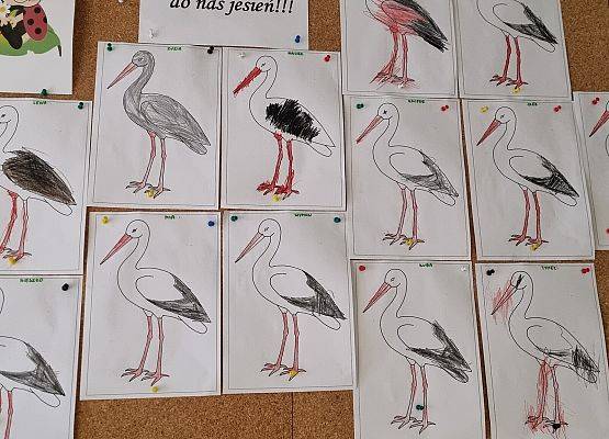 GRUPA  IV grafika