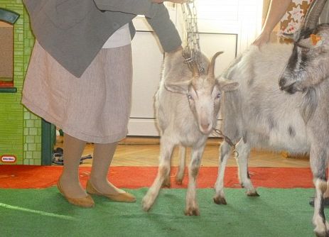 MLECZNA  DROGA  W  PRZEDSZKOLU  grafika