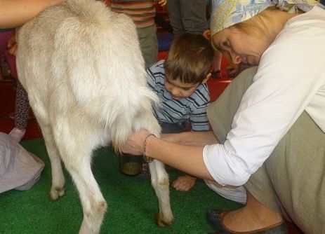 MLECZNA  DROGA  W  PRZEDSZKOLU  grafika