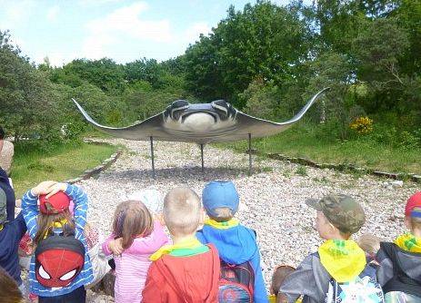 WYCIECZKA DO OCEAN PARK WŁADYSŁAWOWO grafika